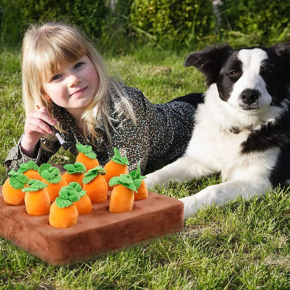 A child and a dog playing outside with the interactive plush carrot snuffle mat.