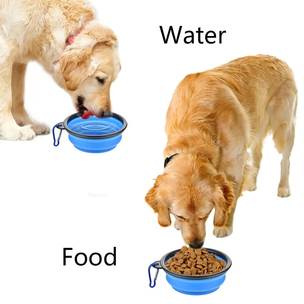 Golden retriever using a collapsible blue pet food bowl for water and food. Portable travel-friendly bowl for pets on the go.