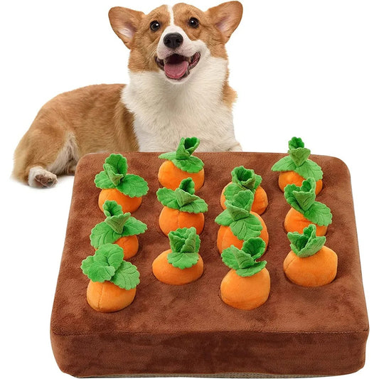 A happy corgi sitting next to the carrot snuffle mat, excited for playtime.